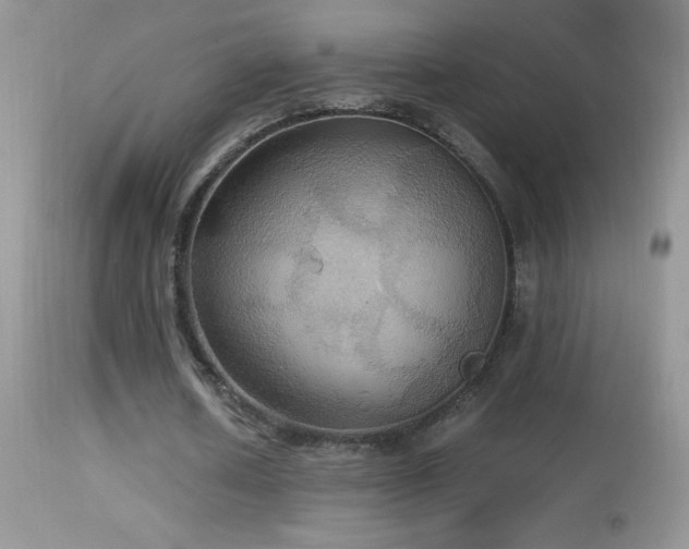 X0000114640626200910201443