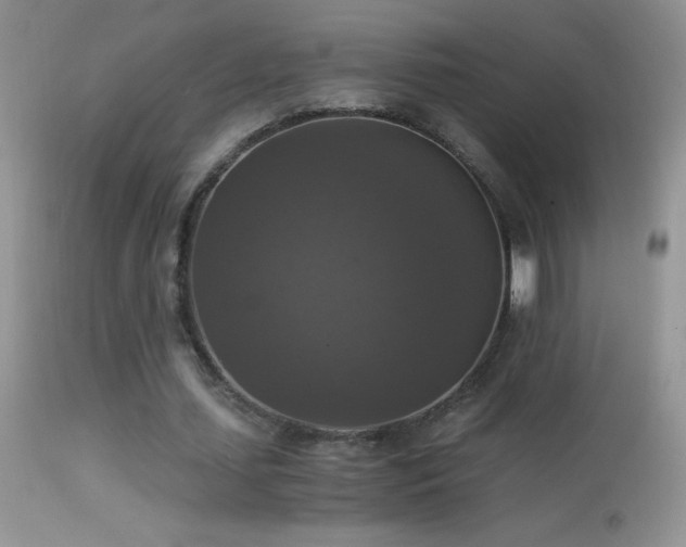 X0000114640627200910201443
