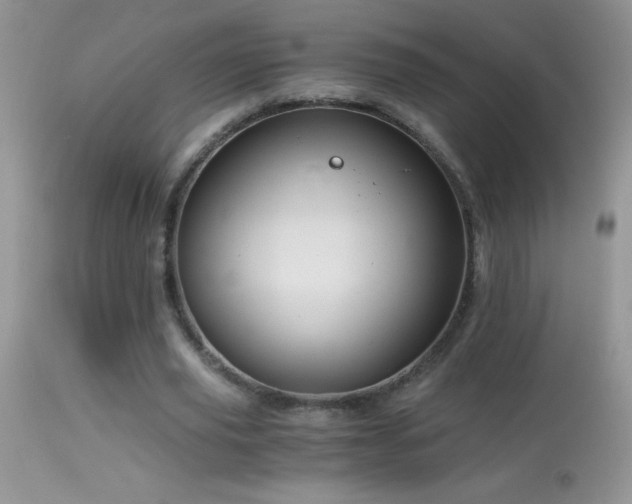 X0000114640629200910201443