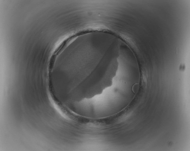 X0000114640630200910201443