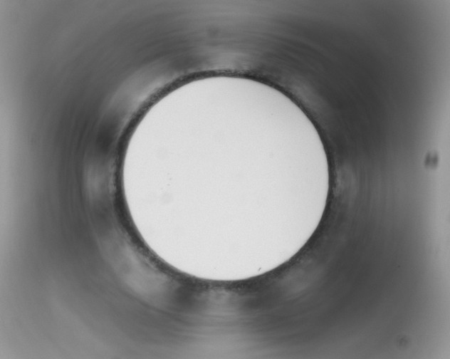 X0000114640632200910201443