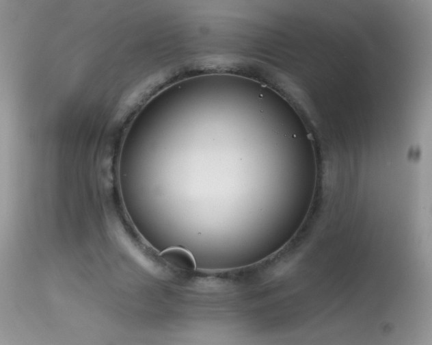 X0000114640633200910201443