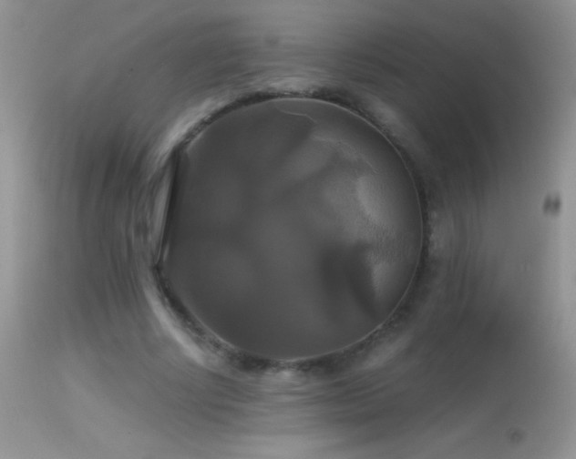 X0000114640634200910201443