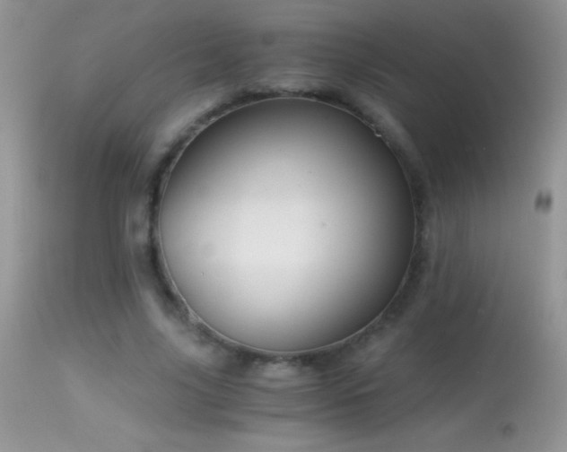 X0000114640635200910201443
