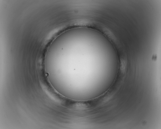 X0000114640636200910201443
