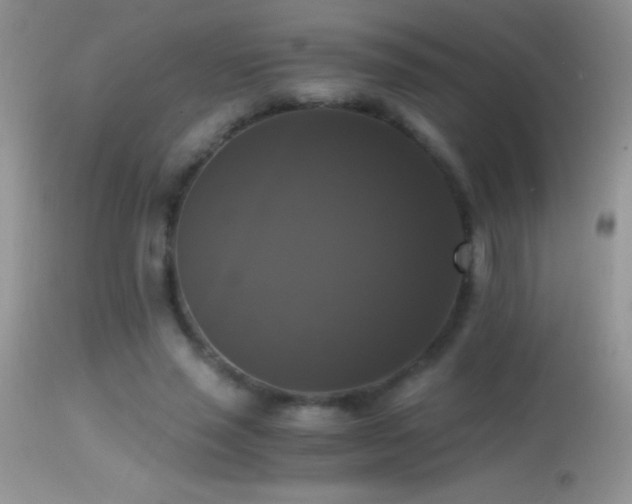 X0000114640637200910201443