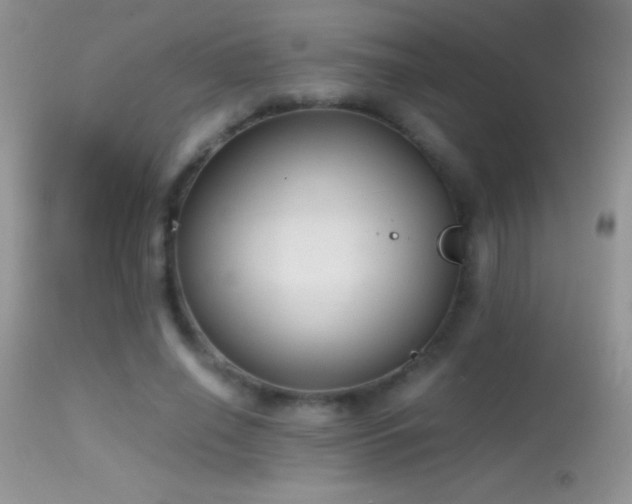 X0000114640638200910201443