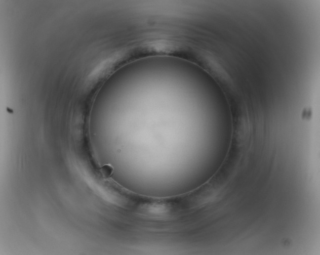 X0000114640639200910201443