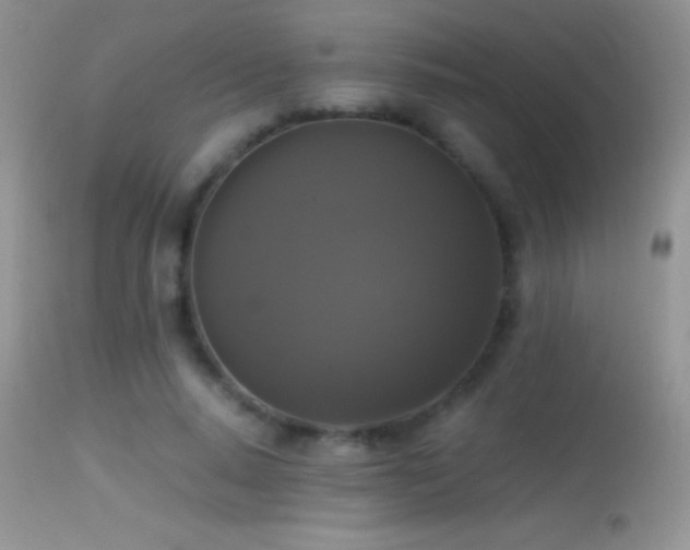 X0000114640640200910201443