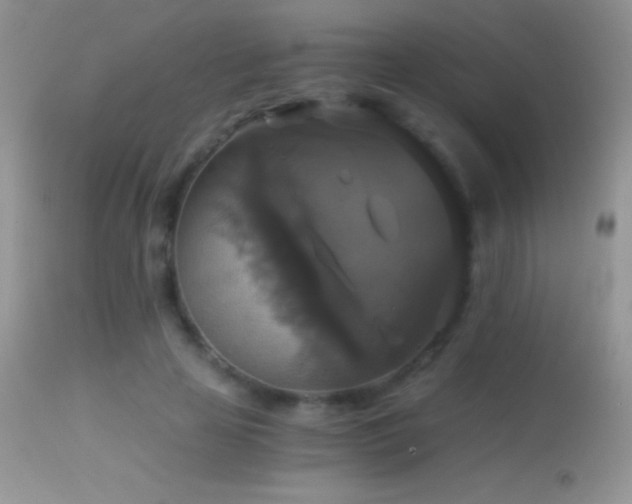 X0000114640641200910201443