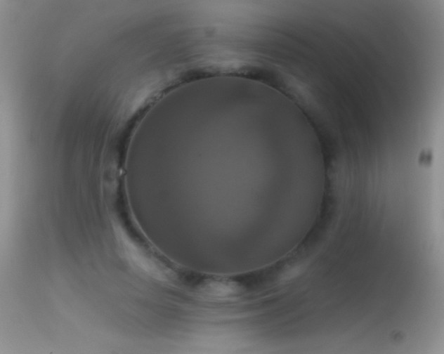 X0000114640642200910201443