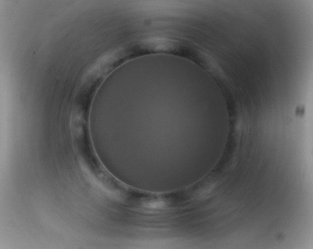 X0000114640643200910201443