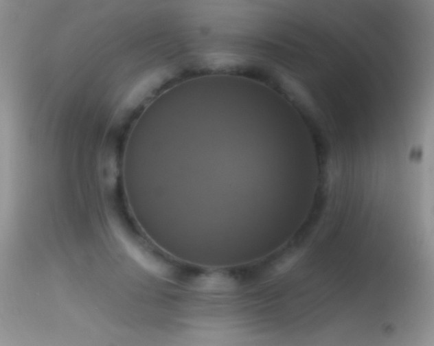 X0000114640644200910201443