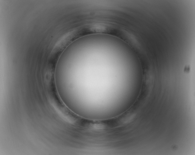 X0000114640645200910201443