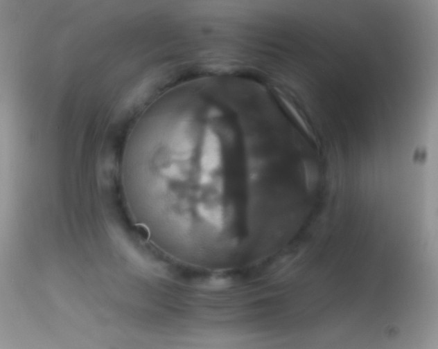 X0000114640647200910201443