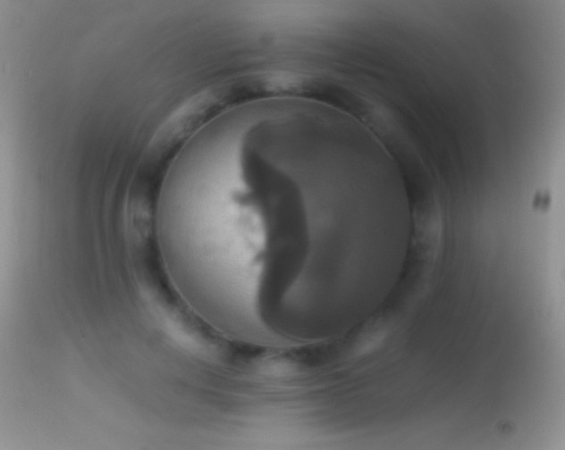 X0000114640648200910201443