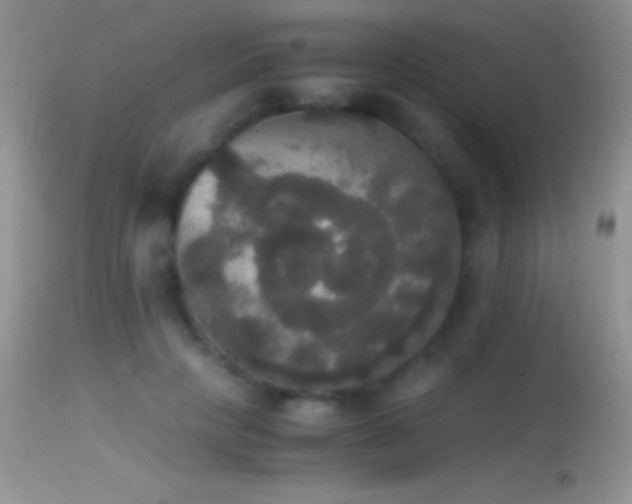 X0000114640649200910201443