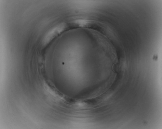 X0000114640650200910201443