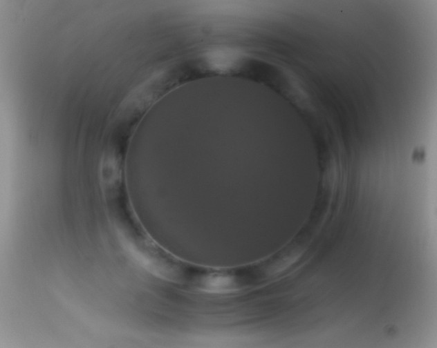 X0000114640651200910201443