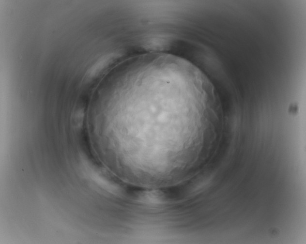 X0000114640652200910201443
