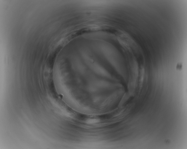 X0000114640653200910201444