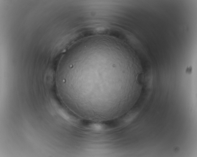 X0000114640654200910201444