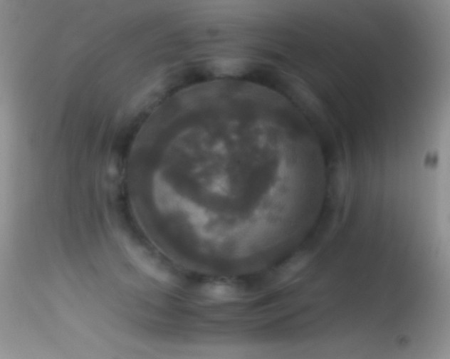 X0000114640655200910201444