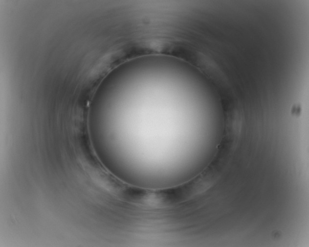X0000114640656200910201444