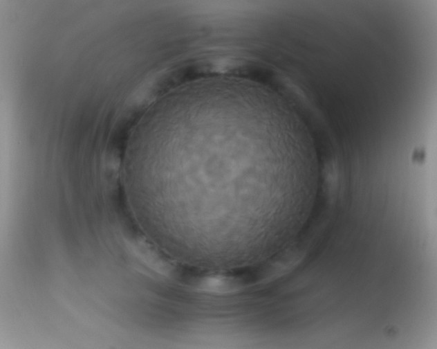 X0000114640657200910201444