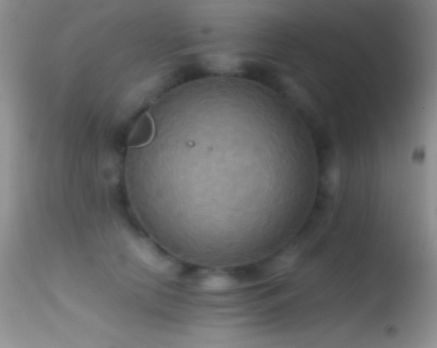 X0000114640658200910201444