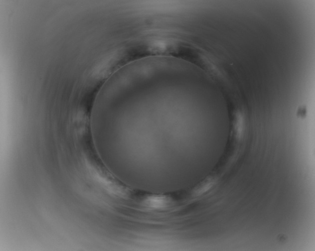 X0000114640659200910201444