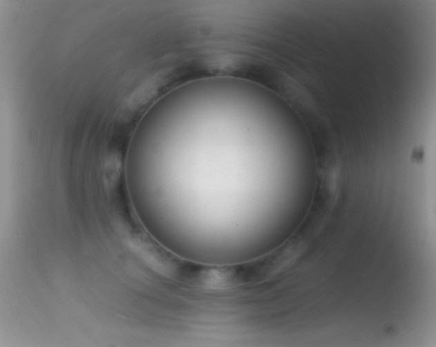 X0000114640660200910201444