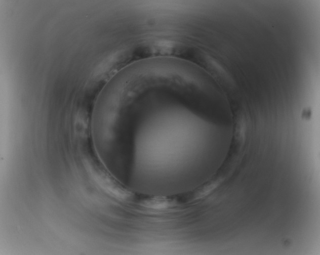 X0000114640661200910201444