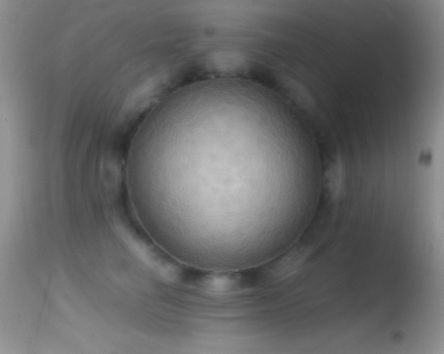 X0000114640662200910201444