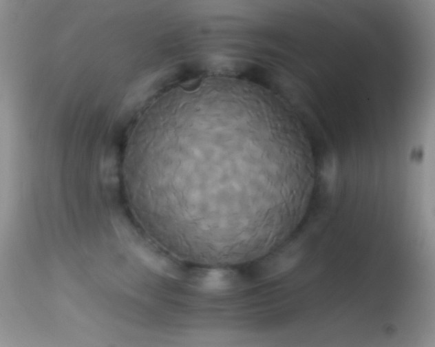 X0000114640663200910201444