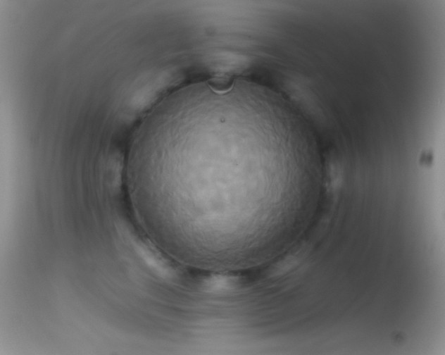 X0000114640664200910201444
