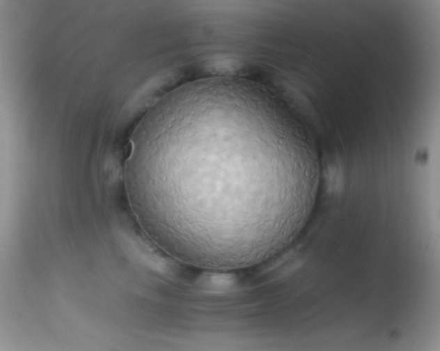 X0000114640665200910201444