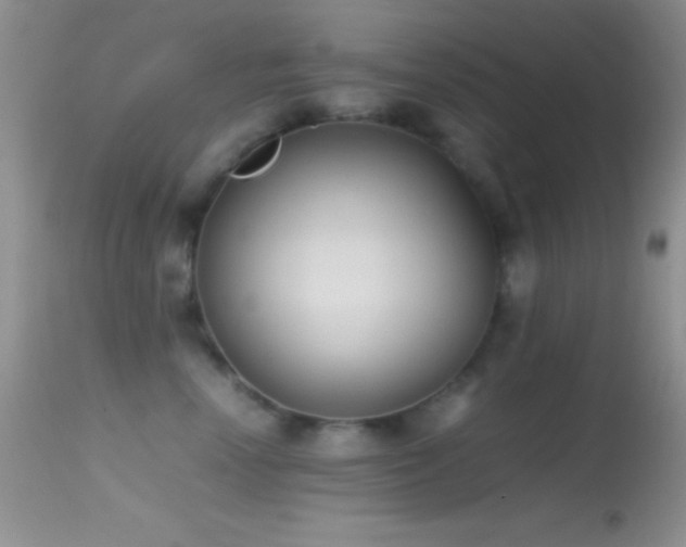X0000114640666200910201444
