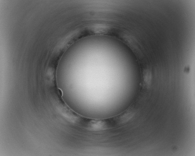 X0000114640667200910201444