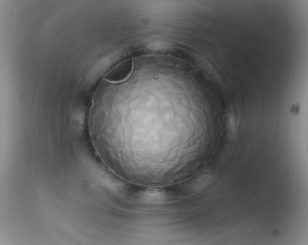X0000114640668200910201444