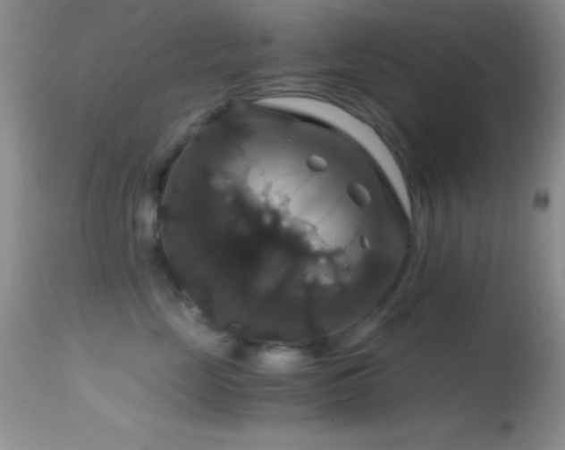 X0000114640669200910201444