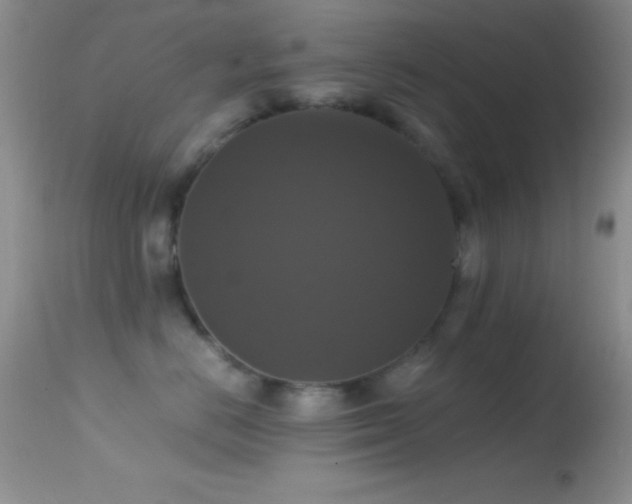 X0000114640670200910201444