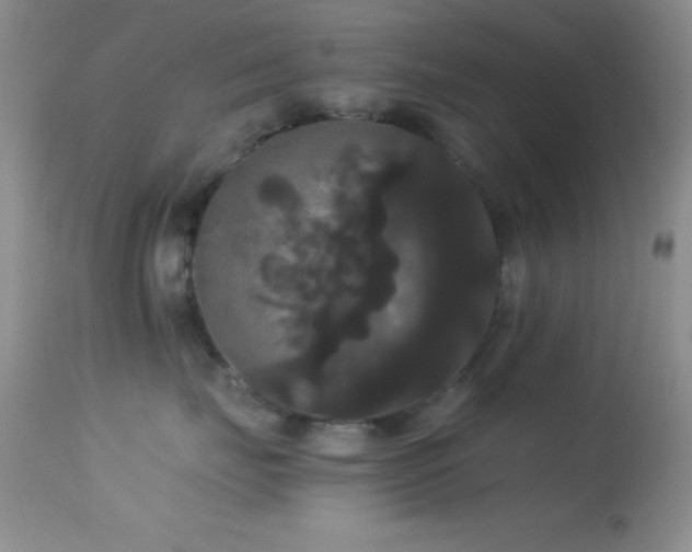 X0000114640671200910201444