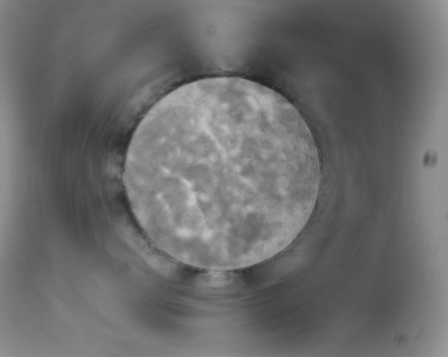 X0000114640672200910201444