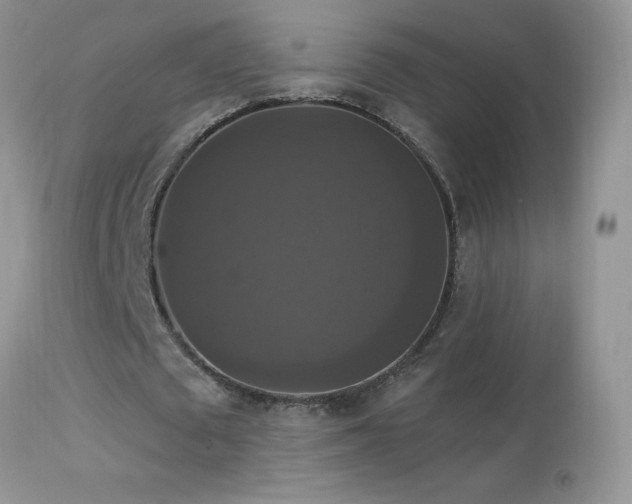 X0000114640673200910201443