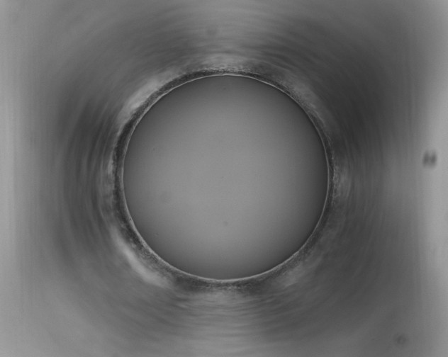 X0000114640674200910201443