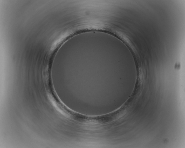 X0000114640677200910201443