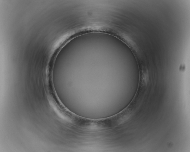 X0000114640678200910201443