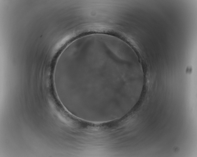 X0000114640679200910201443