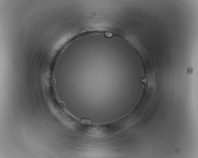 X0000114640680200910201443
